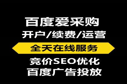 SEM外包服务应用案例分析